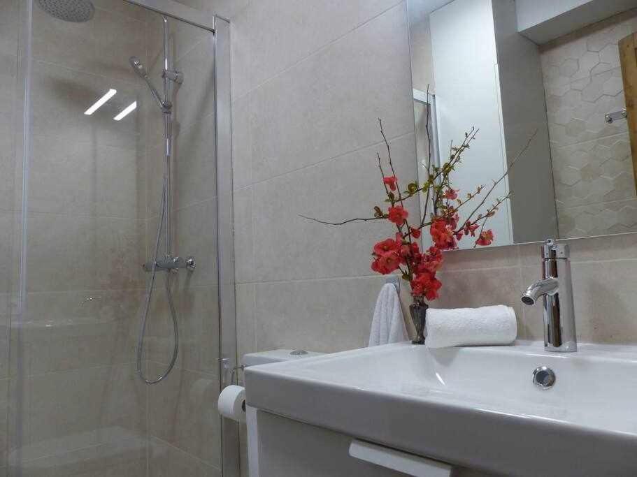 Apartamento Abside De San Juan II Estella Exterior photo